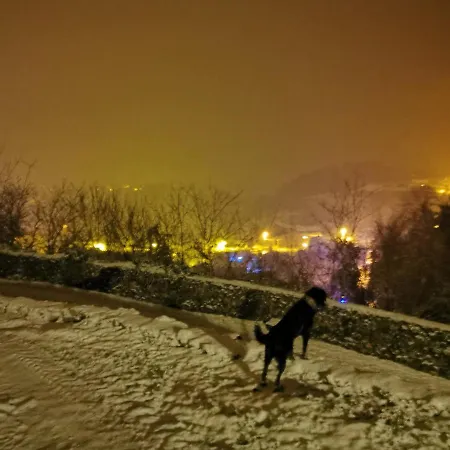 Bed & Breakfast Chateau Rustique Montegut (Hautes-Pyrenees)